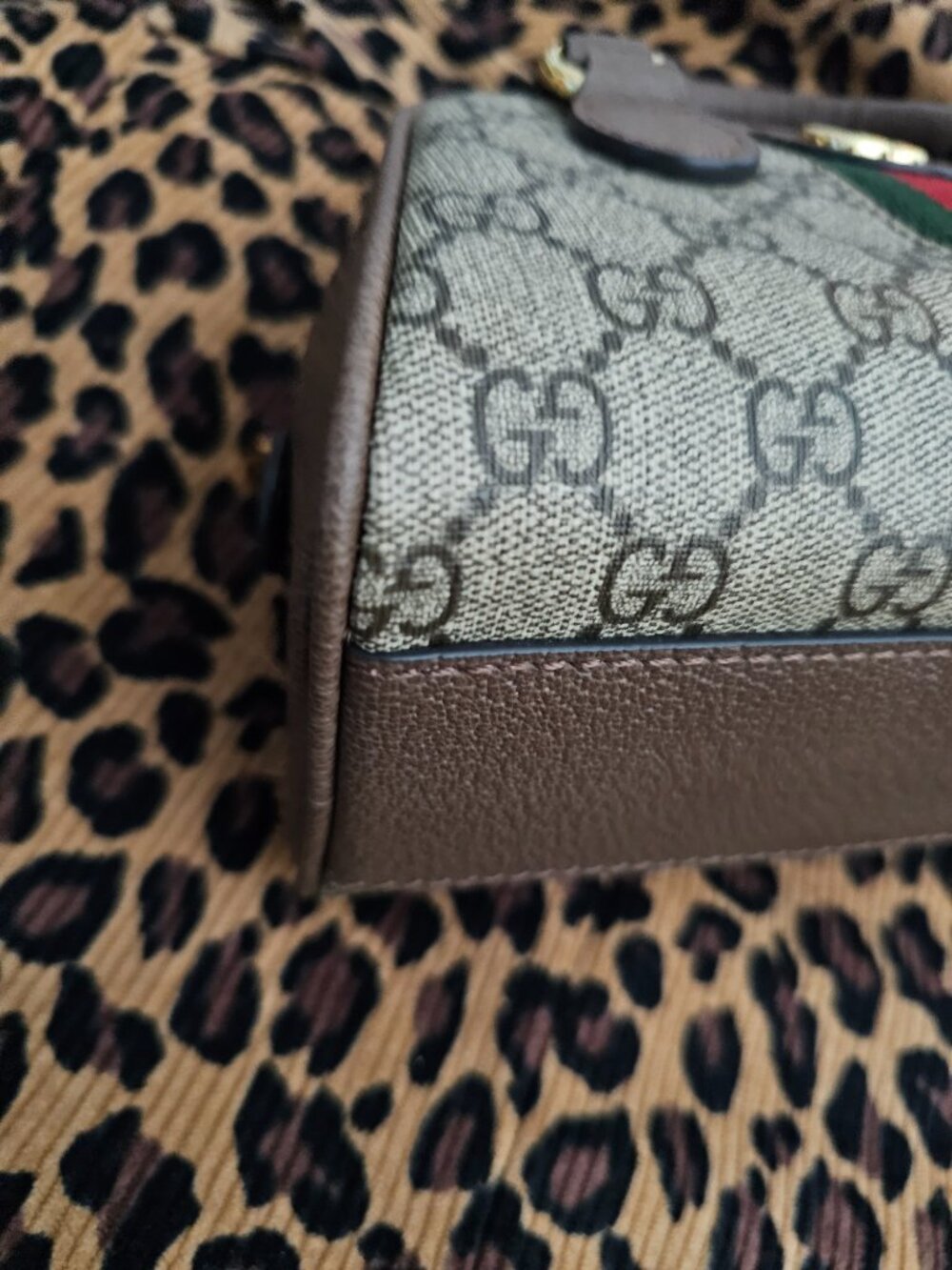 Gucci Mini - Picture 8 of 15
